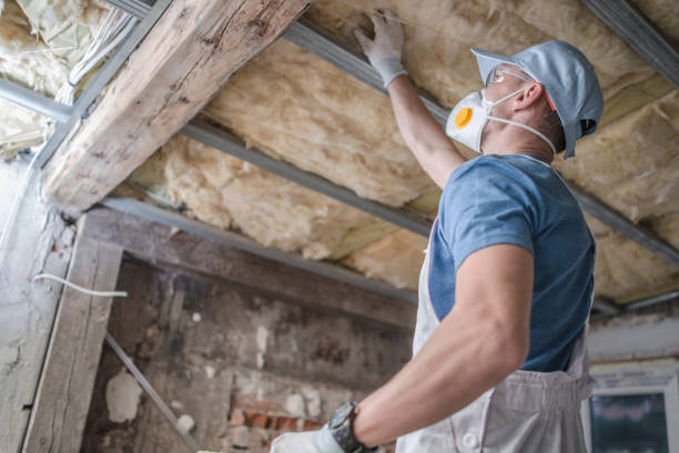 Best Local Insulation Services  in Gardende, AL
